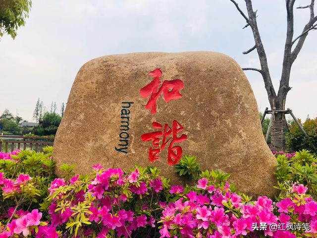 那些总在<a href=https://maguai.com/list/256-0-0.html target=_blank class=infotextkey>朋友圈</a>发鸡汤文的都是些什么人