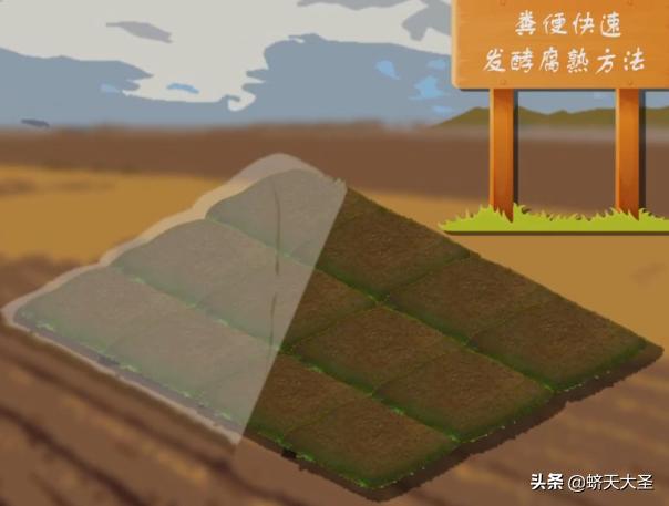 福氏耐格里变形虫:“中国年”的文化内涵是什么