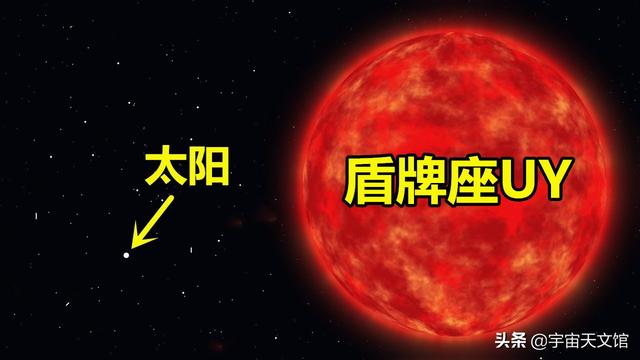 巨型海蜘蛛有哪六种:巨型海蜘蛛是什么 宇宙中的最大天体有多大？
