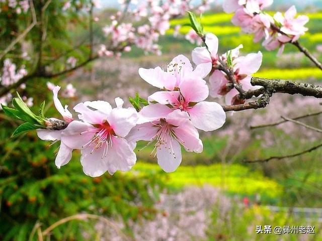 3月份的节日:3月份的节日有哪些