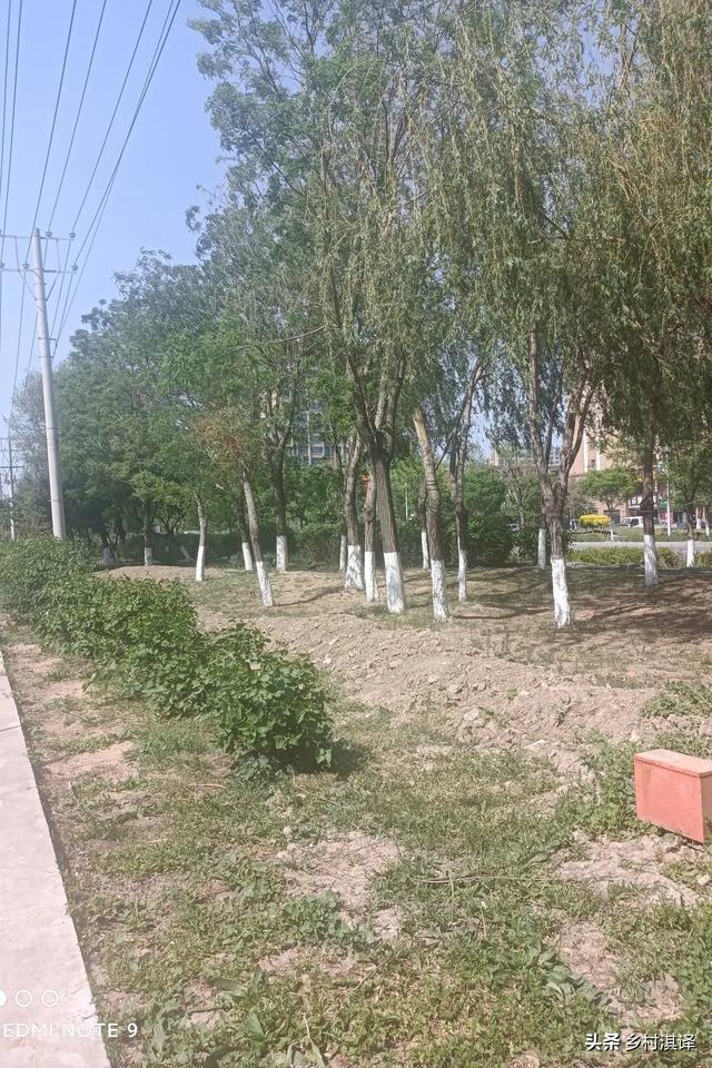 年近30岁的你现在迷茫吗