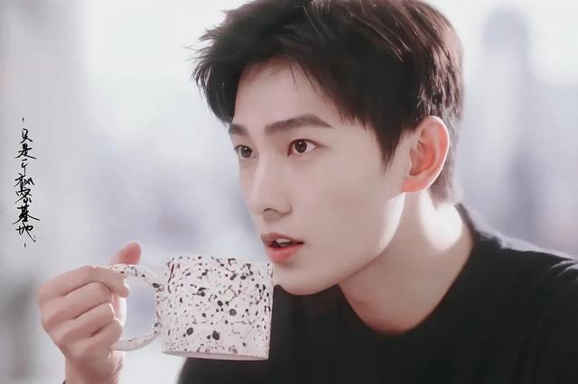如何评价电视剧《你是我的荣耀》？
