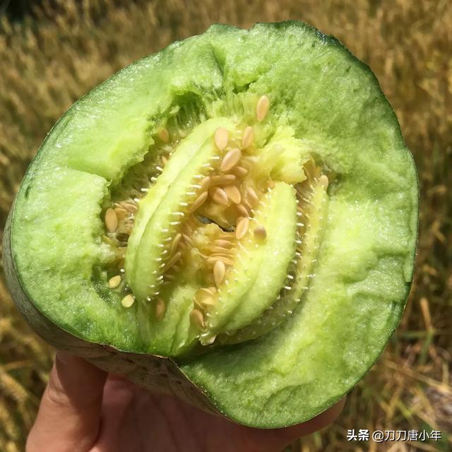 宝妈在家怎么兼职赚钱:宝妈在家带孩子，有什么兼职可做吗？做自媒体能挣到<a href=https://maguai.com/list/55-0-0.html target=_blank class=infotextkey><a href=https://maguai.com/list/55-0-0.html target=_blank class=infotextkey>生活</a></a>费吗？
