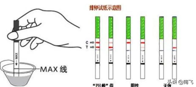 验孕棒示意图图片