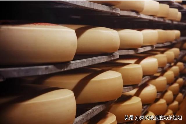 《猫和老鼠》中那种全是洞洞的奶酪叫什么名字，味道如何？插图19