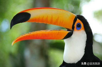 看风水口头禅,你怎么看＂风水在嘴上＂这句话？