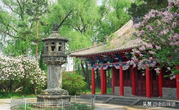 秀丽王:【特工皇妃楚乔】里面的楚乔到底是什么身份