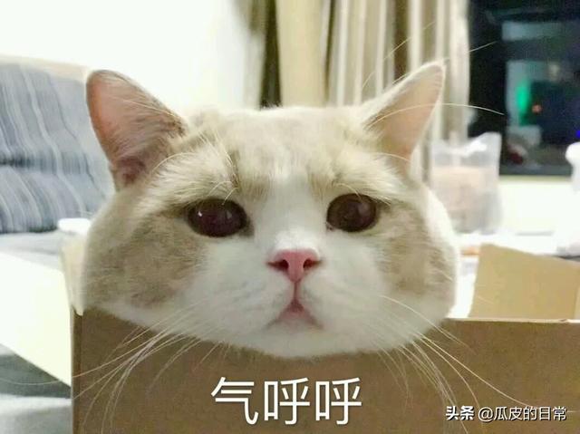 适合<a href=https://maguai.com/list/256-0-0.html target=_blank class=infotextkey>朋友圈</a>文案短句:有没有适合发<a href=https://maguai.com/list/256-0-0.html target=_blank class=infotextkey>朋友圈</a>的可爱文案？
