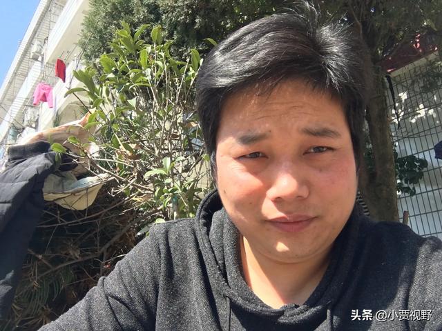 牧羊犬在线黑神:网评最受欢迎的狗狗有哪些？你喜欢哪些？