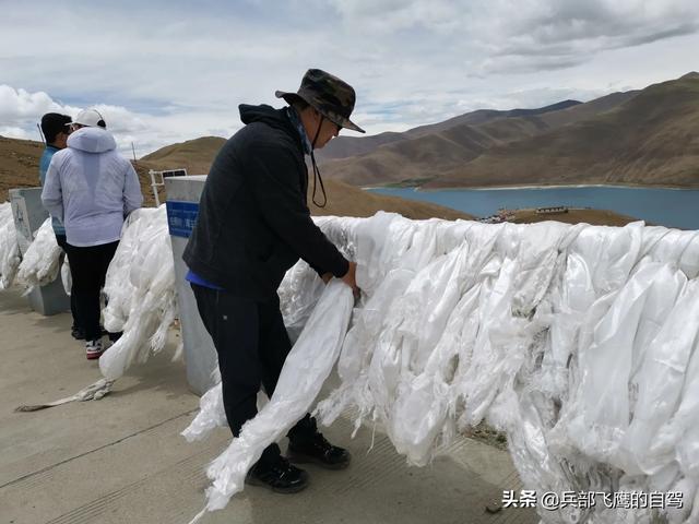 青岛萨路基犬:青岛自驾游去西藏，由青藏公路进藏好还是由川藏线入藏好？