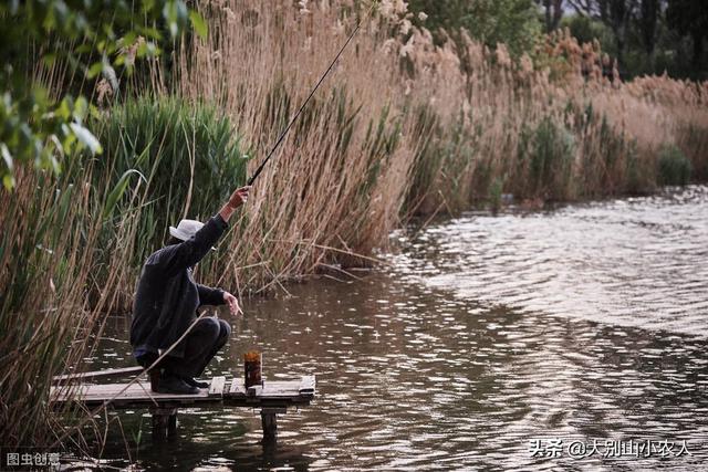 动物之森矛尾鱼雨天大海:秋季下过雨后去钓鱼，鱼不开口是什么原因？