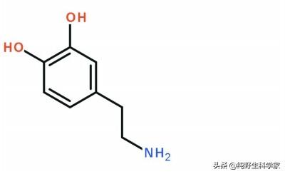 牛弓形虫病的症状图片:我是新手养牛，想养几头自繁自养母牛。该怎样操作？