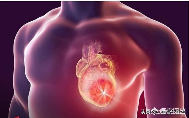 没有狗活不下去 下载:大龄剩女剩男，该怎么办？ 没有狗活不下去下载
