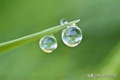 钱桥学校灵异事件:你读过书的学校有没有真实发生的诡异事？