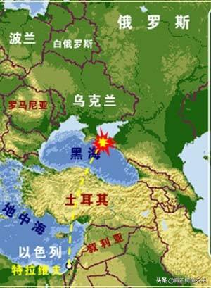 军犬图片:养约克夏是一种怎样的体验？