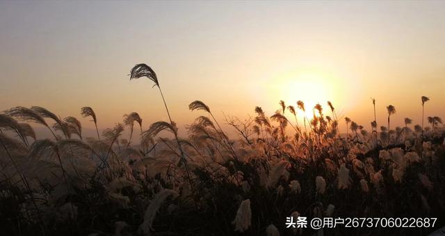 头条问答 爱拍风景的中年女性是什么心理 聪慧的用户冬天的回答 0赞