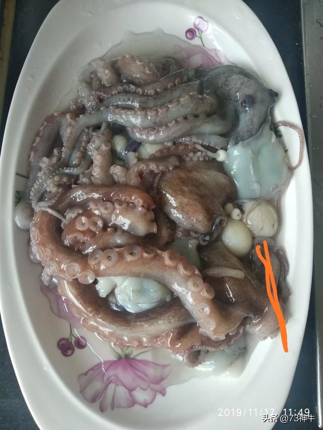 被蓝环章鱼咬伤怎么办，八爪鱼肚子里的白球是什么能吃吗