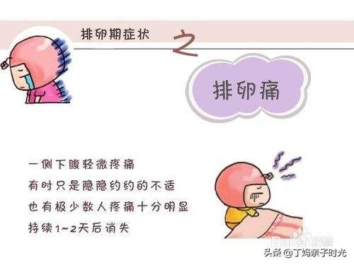 头条问答 女性在排卵的时候会有什么感觉吗 123个回答