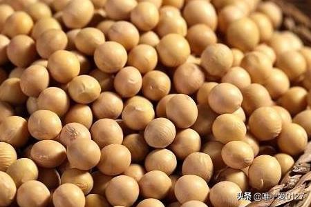 如何制作花肥(花肥的制作最简单方法大全)