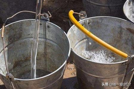 热带观赏鱼养殖技术:给热带鱼换水的正确方法？