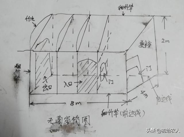 农村大叔自制平菇菌种，新农民一个请教一下大神们，平菇的原种怎么制作的，谢谢大家