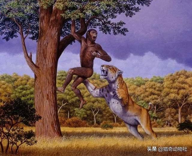 人类捕猎行为带来了什么，人类种族曾面对过最恐怖的捕食者是什么？