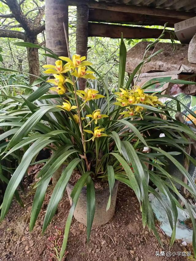 如果有五十万，你会选择县城买房？还是农村盖房？插图22