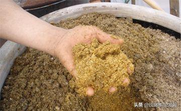 酵素菌生物肥的生产:如何制作生物发酵饲料？运用在养猪上，有什么效果？