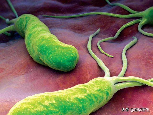 红酒杀幽门螺杆菌吗，为什么幽门螺杆菌在胃内，但是吃的药多是通过血液循环杀灭病菌的？
