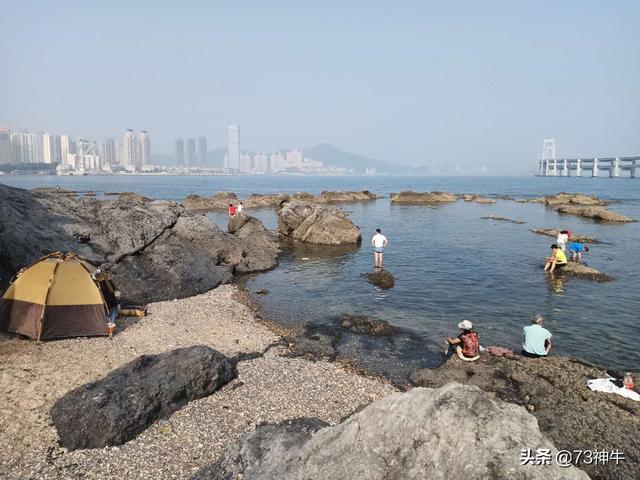 大连深海鱼种类:大连和青岛哪里海鲜好吃？