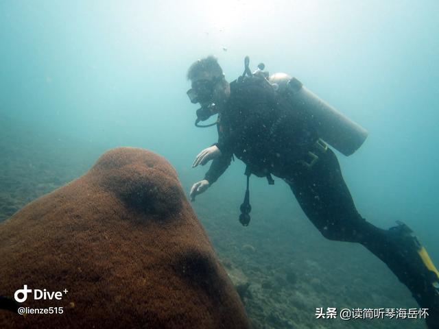 手机讲故事在线听，五年级的孩子天天用喜马拉雅听听故事，这样好吗