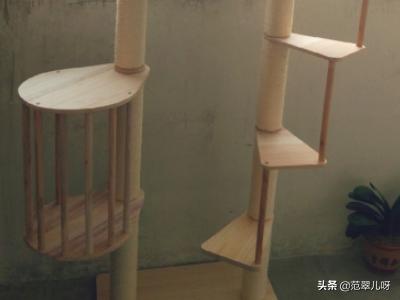 墙壁猫爬架:怎么自制猫爬架diy教程？