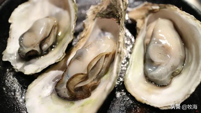 吃生蚝不用去内脏吗？