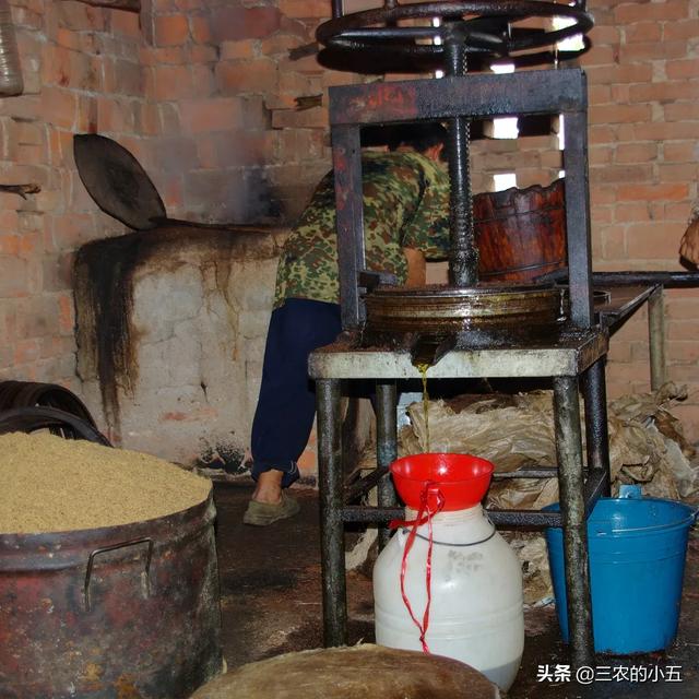 在农村办厂哪些项目前景好，在农村里办个什么小厂比较赚钱