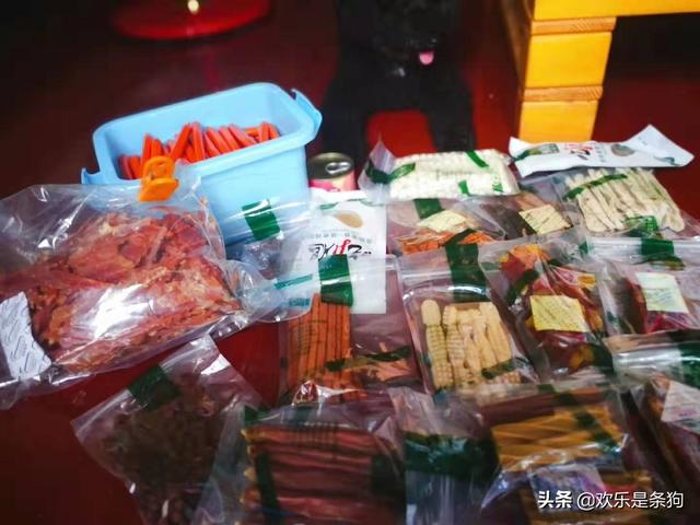 居室养狗注意事项:饲养狗狗要注意哪些事情？ 养狗注意事项条例