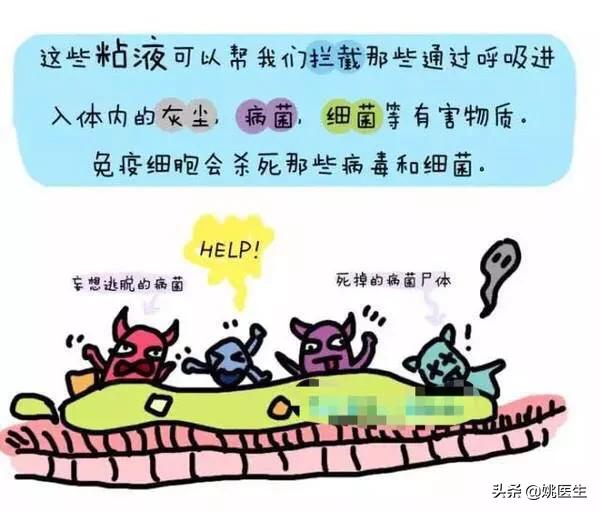 什么食物可以化痰(什么食物可以化痰祛痰)