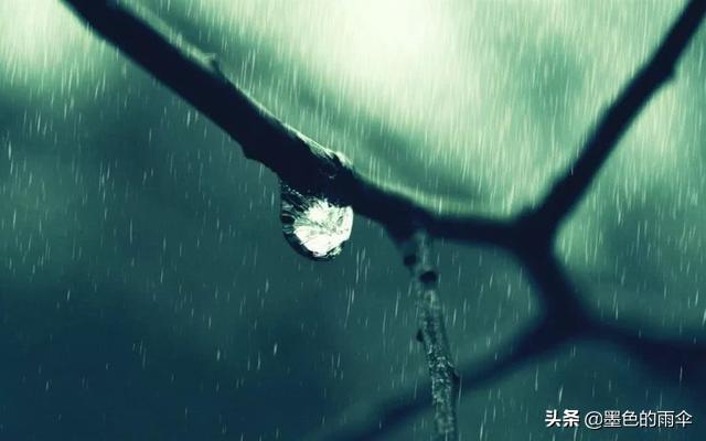 写影评怎么挣钱？