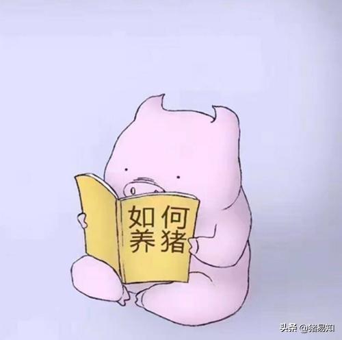 养一群微型猪是什么体验:养猪赚钱吗？小型养殖，十几只的样子。一年能赚多少钱？ 微型猪有什么特点