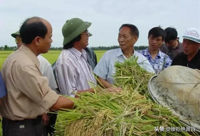 段小洁:袁隆平的弟子谁的成就最高？能接过袁老去世后留下的重任么？