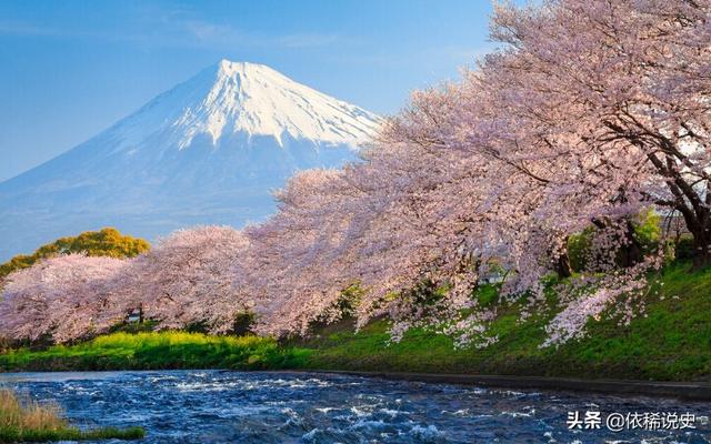 日本2019年总人口:怎么看日本总人口2019年减少50多万？