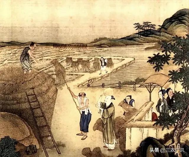 早立秋和晚立秋是如何划分的？