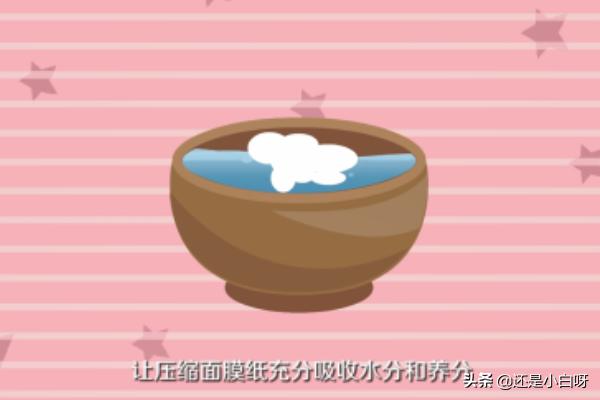 压缩面膜纸怎么用(压缩面膜纸怎么用可以补水效果好)