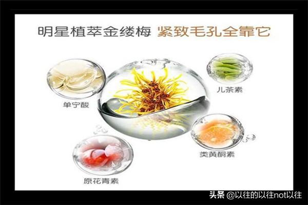 金缕梅:金缕梅美容护肤作用详解？