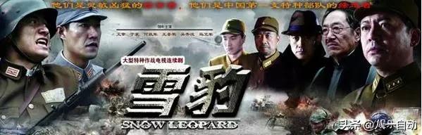 石安妮:最近闲来无事想看几部电视剧，有当兵方面的电视剧推荐吗？