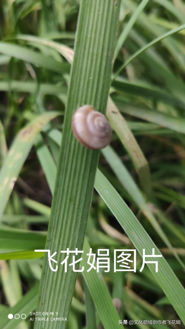 坏男人演员表:坏一点的男生是不是比较吃香呢