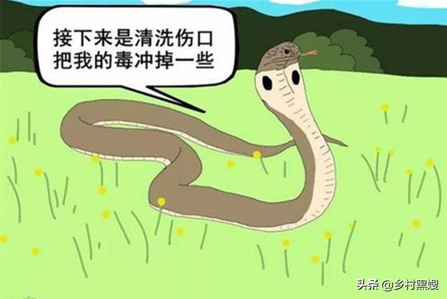 无毒蛇咬人吗:蛇咬人是出于一种什么心理？