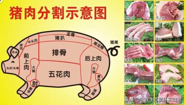 头条问答 - 现在的猪肉吃起来没有小时候吃起来香,到底是我们吃的肉质