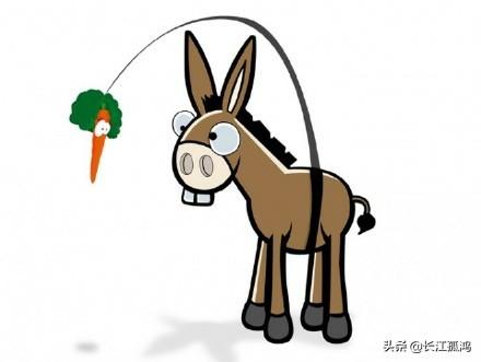 头条问答 - 怎样让小毛驴更好地拉磨?(45个回答)