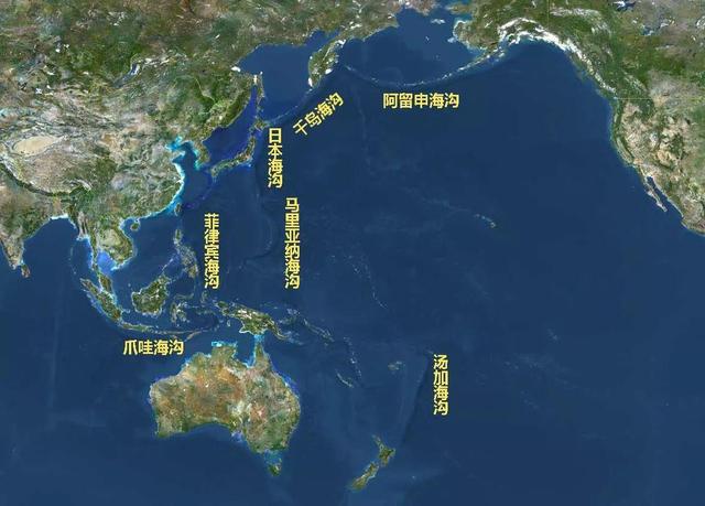 深海短吻狮子鱼图片:在马里亚纳海沟底部有鱼类生存吗？