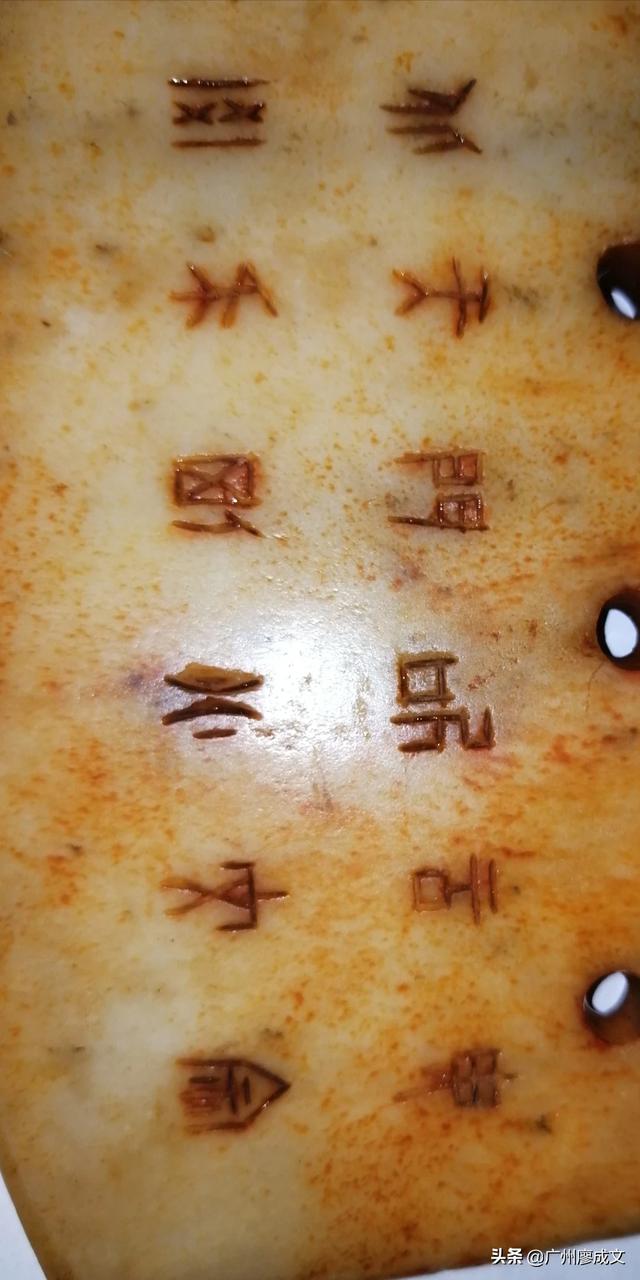 会唱黄土高坡的鹦鹉在线播放:你们知道的精神病人后来怎么样了？